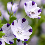 O1CN011K9W9e2JkjkTsW1K7__2213216199460_jpg_q50_jpg