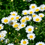 O1CN01cLPdgt2BdOJDt0o2n__2044468361-0-cib_1