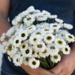 O1CN01vUSgYu2JkjikmrG5o__2213216199460_jpg_q50_jpg