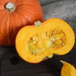 Sunshine (F1) Kabocha Squash Seed