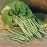 O1CN01AzjPFm1XUcEpE6jGh__23922927_jpg_q50_jpg