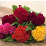 O1CN01XXG73m2JkjZizk2Ds__2213216199460_jpg_q30_jpg