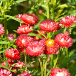 O1CN01VEQsJn2JkjmCpB1zM__2213216199460_jpg_q30_jpg