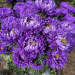 O1CN01WNwdEu2JkjgGuFvYk__2213216199460_jpg_q50_jpg