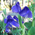 O1CN01mxvHcs2JkjlhEMgyW__2213216199460_jpg_q50_jpg