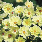 O1CN01pA1Lt22JkjXfS3QGv__2213216199460