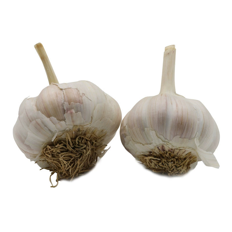 O1CN01FmDED11dXiRPJxR2u__1071273746_jpg