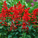 O1CN01jPVtSl2JkjldWlDOh__2213216199460_jpg_q50_jpg