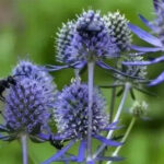 O1CN01wytVmK2Jkjilny8qQ__2213216199460_jpg_q50_jpg