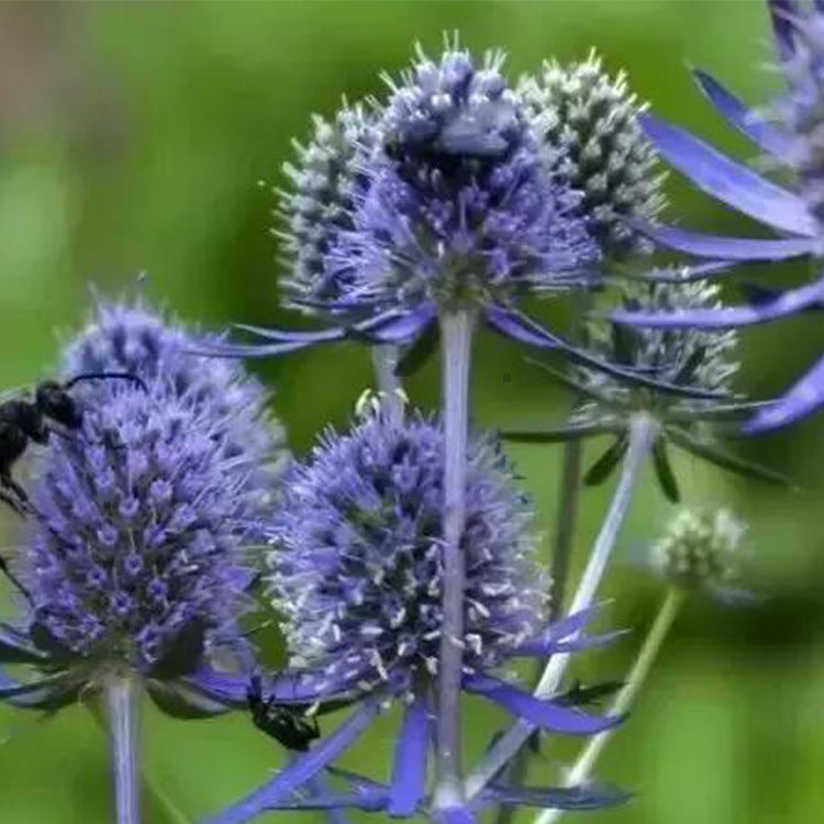 O1CN01G1Sgfy2BdOFkdv7N6__2044468361-0-cib