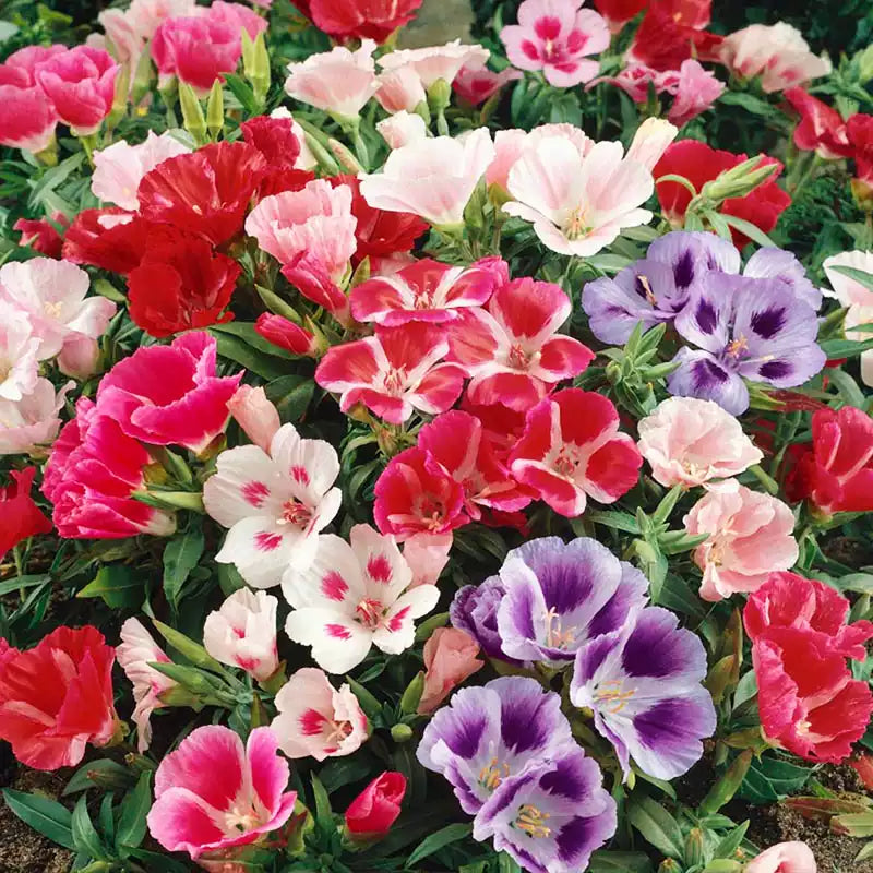 O1CN01GC6kiW2Jkjiltrdbe__2213216199460_jpg_q50_jpg