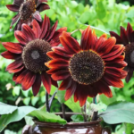 O1CN01uWfMP72Jkjb6zosB6__2213216199460_jpg_q30_jpg