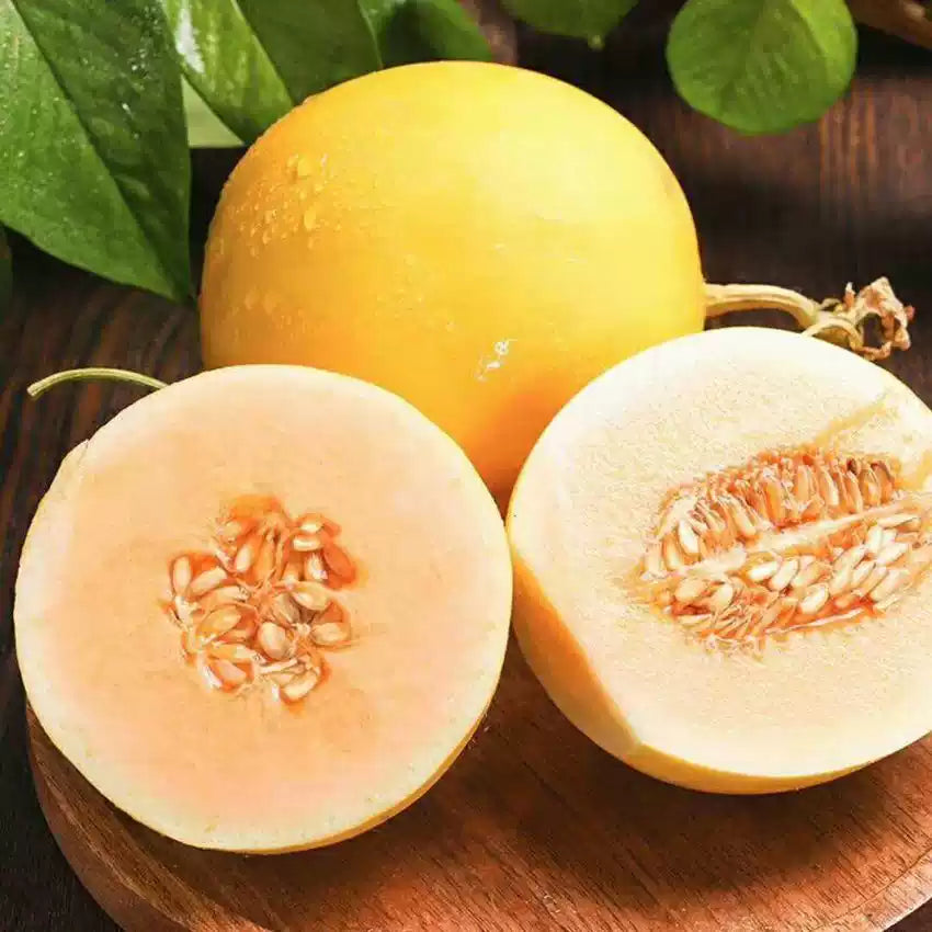 O1CN01GWRRaZ1y1IY1xWf7V__2212096146518_jpg_q50_jpg