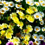 O1CN01cLPdgt2BdOJDt0o2n__2044468361-0-cib_1