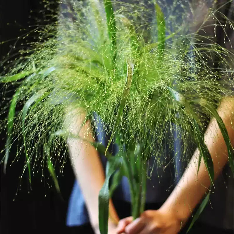 O1CN01H7wvPq2JkjlyRIBgB__2213216199460_jpg_q50_jpg