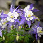 O1CN019yeYru2Jkjlz59qtd__2213216199460_jpg_q50_jpg