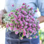 O1CN01MR6evu2BdOJAOZZL6__2044468361-0-cib