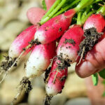 O1CN01HuP2Hs1hM2pO8TjIn__1643794262.jpg_q50.jpg__1