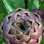 O1CN01QdXbUa1dXiMmIMupe__1071273746_jpg_q50_jpg