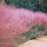 O1CN01dRZbRB2Jkjlv3gkj0__2213216199460_jpg_q50_jpg