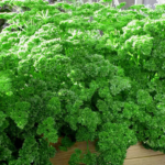 O1CN01HMe1MZ2Jkjlz5cqvA__2213216199460_jpg_q50_jpg