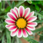 O1CN019APb4A2JkjjVMHWXX__2213216199460