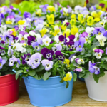 O1CN01vhNYnI2JkjaZzqXaL__2213216199460_jpg_q50_jpg_82cd0bc6-2dae-4fad-ba4f-0426558dcb5d