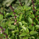 O1CN01lEP5YK2JkjlSv4Jaw__2213216199460_jpg_q50_jpg