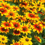 O1CN015oZ3tl2JkjixdEL7F__2213216199460_jpg_q30_jpg