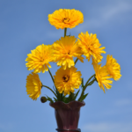 O1CN01C3Eb0Q2BdOJCaCViN__2044468361-0-cib