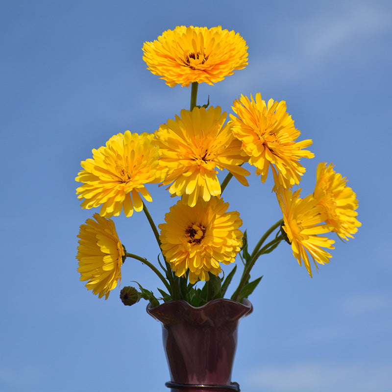 O1CN01KpWcU62BdOJ7uU0qs__2044468361-0-cib