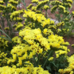 O1CN01XVe4lR2BdOLFYhBRu__2044468361-0-cib