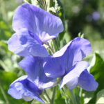 O1CN01FxaYSJ1XKXDZa82uY__6000000002905-0-cib