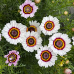 O1CN015Yv2TD2JkjaN5kC4c__2213216199460