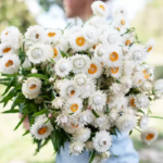 O1CN01qfMyMb2JkjenloAT3__2213216199460_jpg_q30_jpg