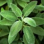 O1CN01Mjor7Z2Jkjli3tr6f__2213216199460_jpg_q50_jpg