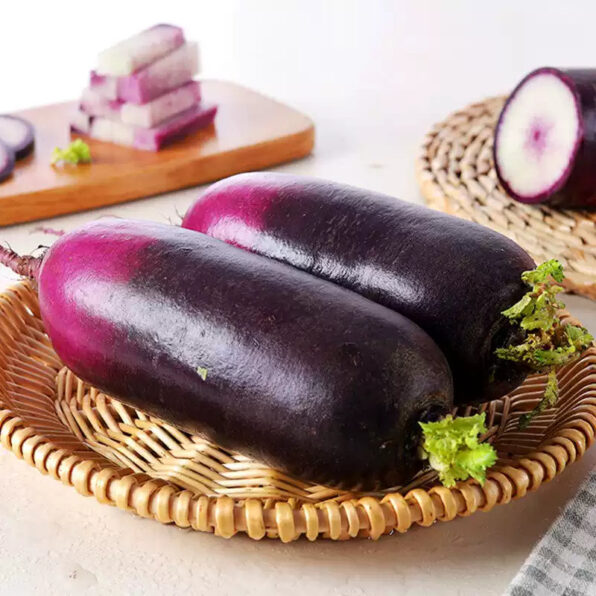 KN-Bravo (F1) Radish Seed