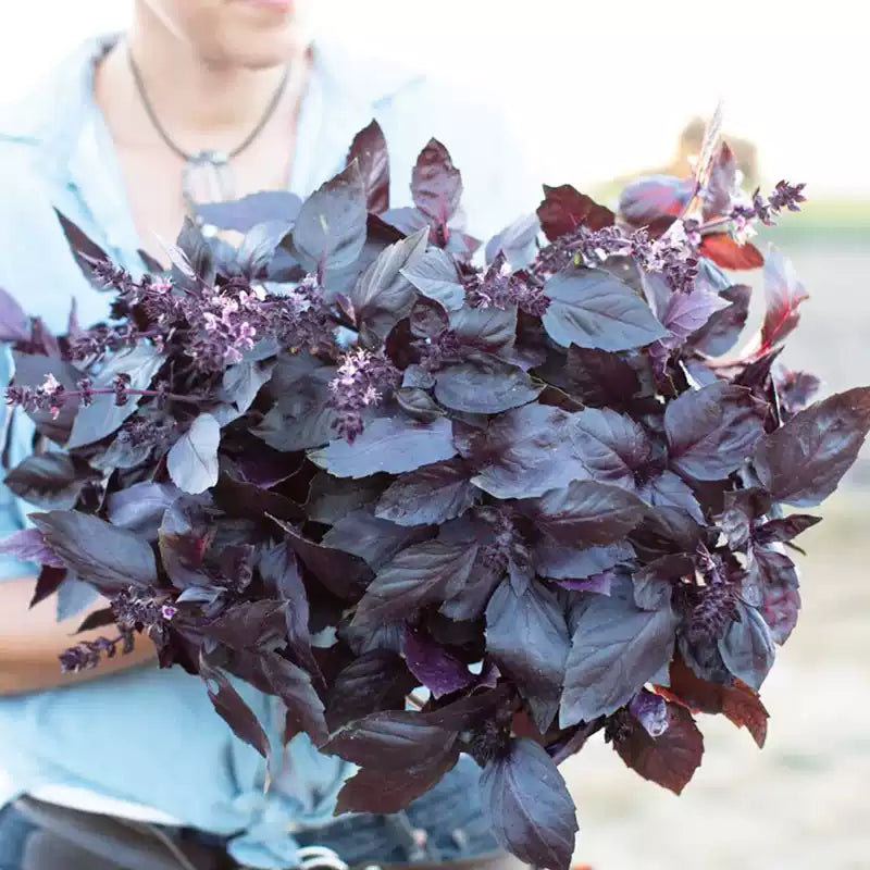 O1CN01NNcflb2JkjbA0xAZy__2213216199460_jpg_q50_jpg