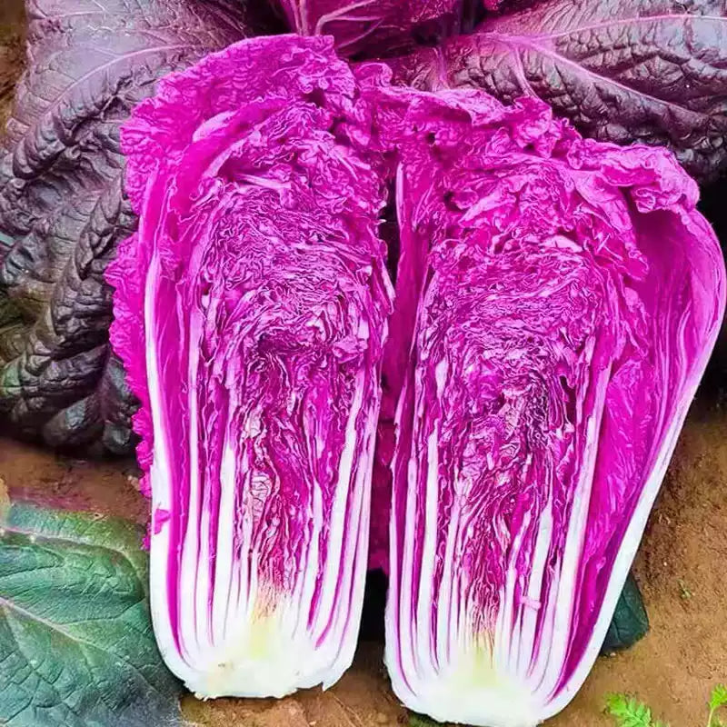 O1CN01NQM5Em25Hy9mXkuMD__2212819927502_jpg_q50_jpg