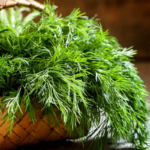 O1CN01Taea242JkjX20dv0v__2213216199460_jpg_q50_jpg