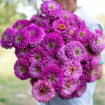 O1CN01EIJLmB2JkjlxolSaG__2213216199460_jpg_q50_jpg