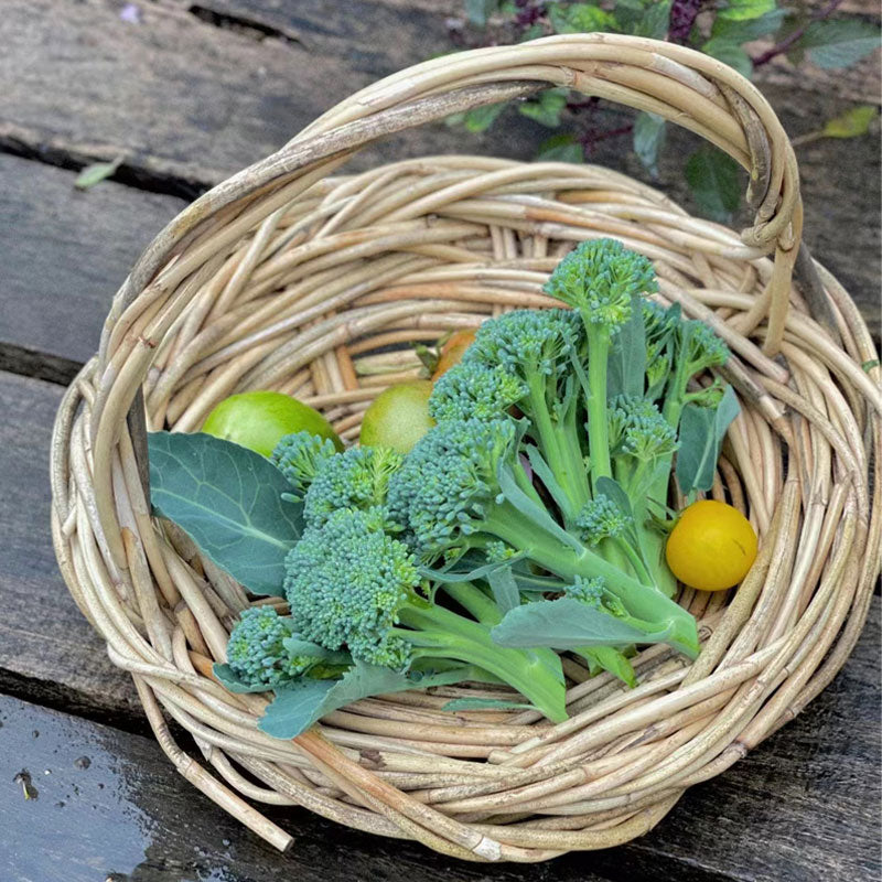 O1CN01O9okp21qyov8COMDZ__2215478985565-1