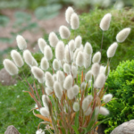 O1CN01OaZLlo2JkjgBYQCwV__2213216199460