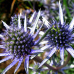 O1CN01OanZkf2BdOFva3GrI__2044468361-0-cib