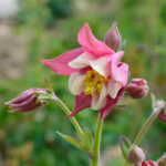 O1CN019yeYru2Jkjlz59qtd__2213216199460_jpg_q50_jpg