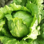 O1CN01xT2wCN1yFUmHcWzjY__2217596236549_png_q50_jpg