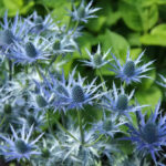 O1CN01OanZkf2BdOFva3GrI__2044468361-0-cib