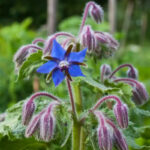 O1CN01t00HwZ2JkjZWWor41__2213216199460