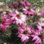 O1CN01J08nCb2JkjWgnFcZD__2213216199460.jpg_q50.jpg__1