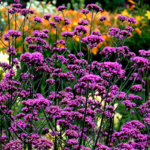 O1CN01w6YDWW2Jkjli1kSrr__2213216199460